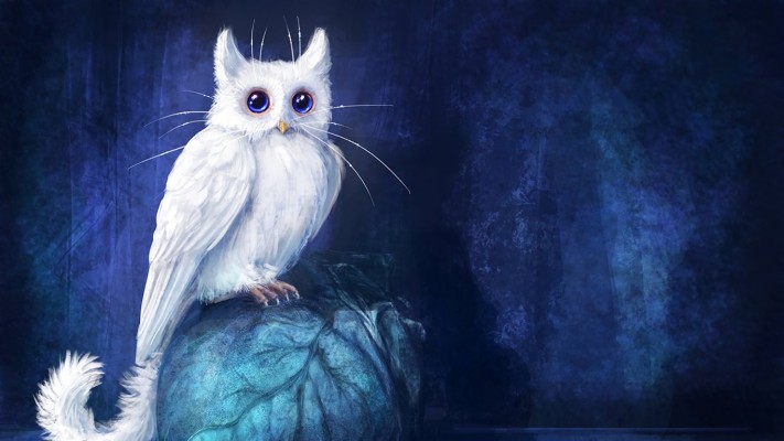 Detail Owl Art Wallpaper Nomer 18