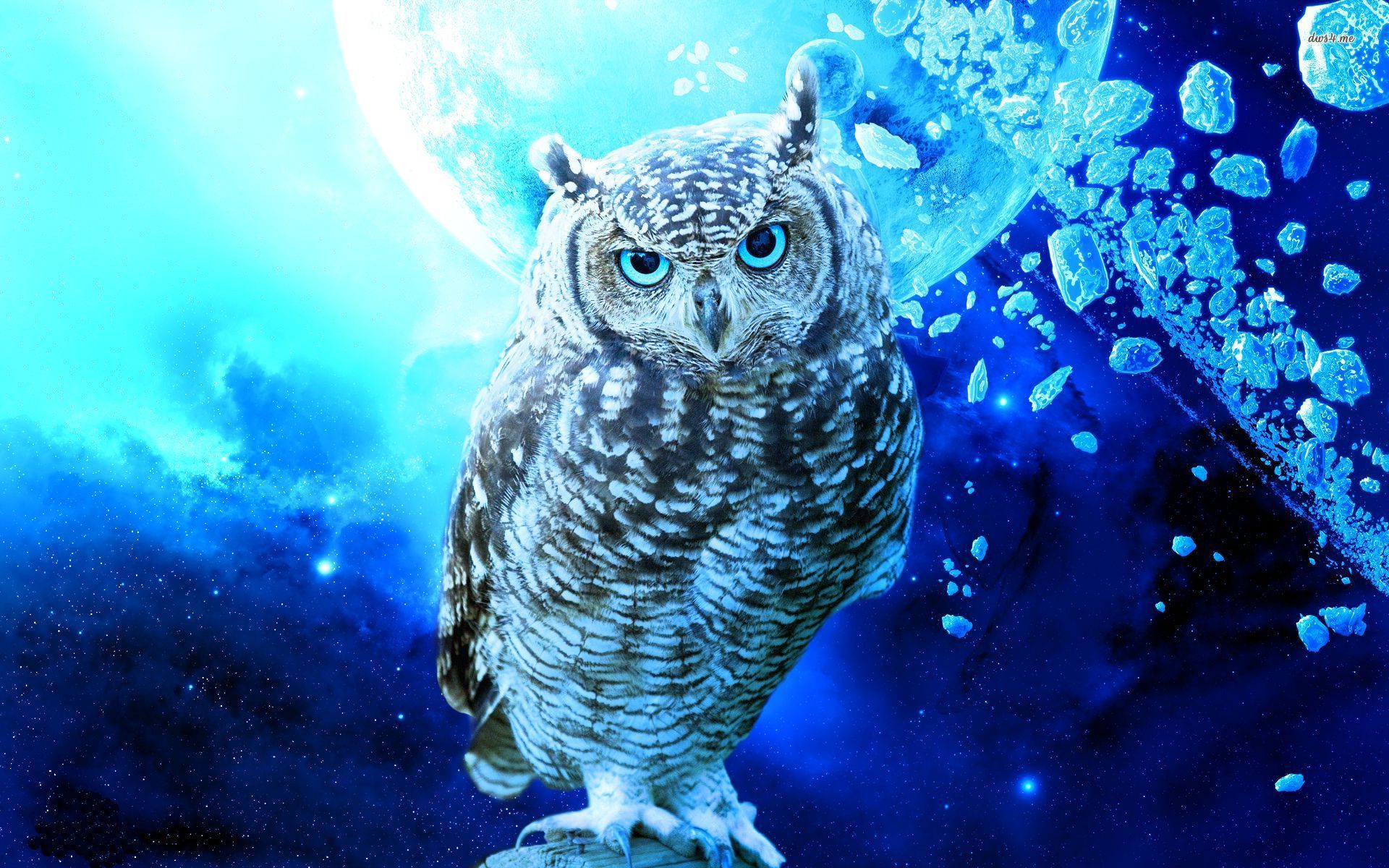 Detail Owl Art Wallpaper Nomer 29