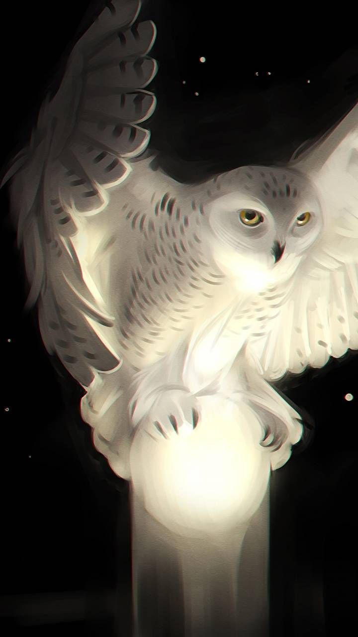 Detail Owl Art Wallpaper Nomer 38