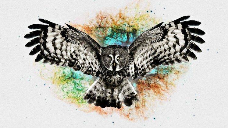 Detail Owl Art Wallpaper Nomer 39