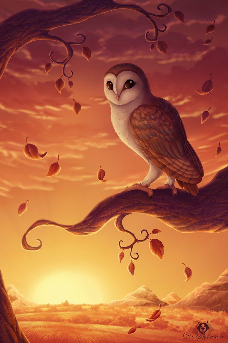 Detail Owl Art Wallpaper Nomer 54