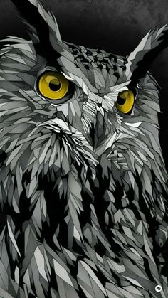 Detail Owl Art Wallpaper Nomer 56