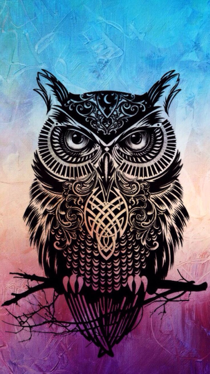 Detail Owl Background Nomer 14
