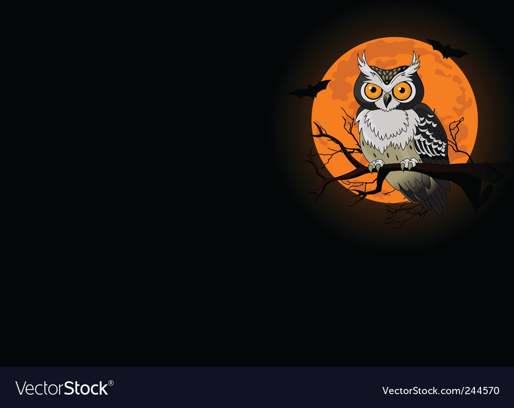 Detail Owl Background Nomer 22