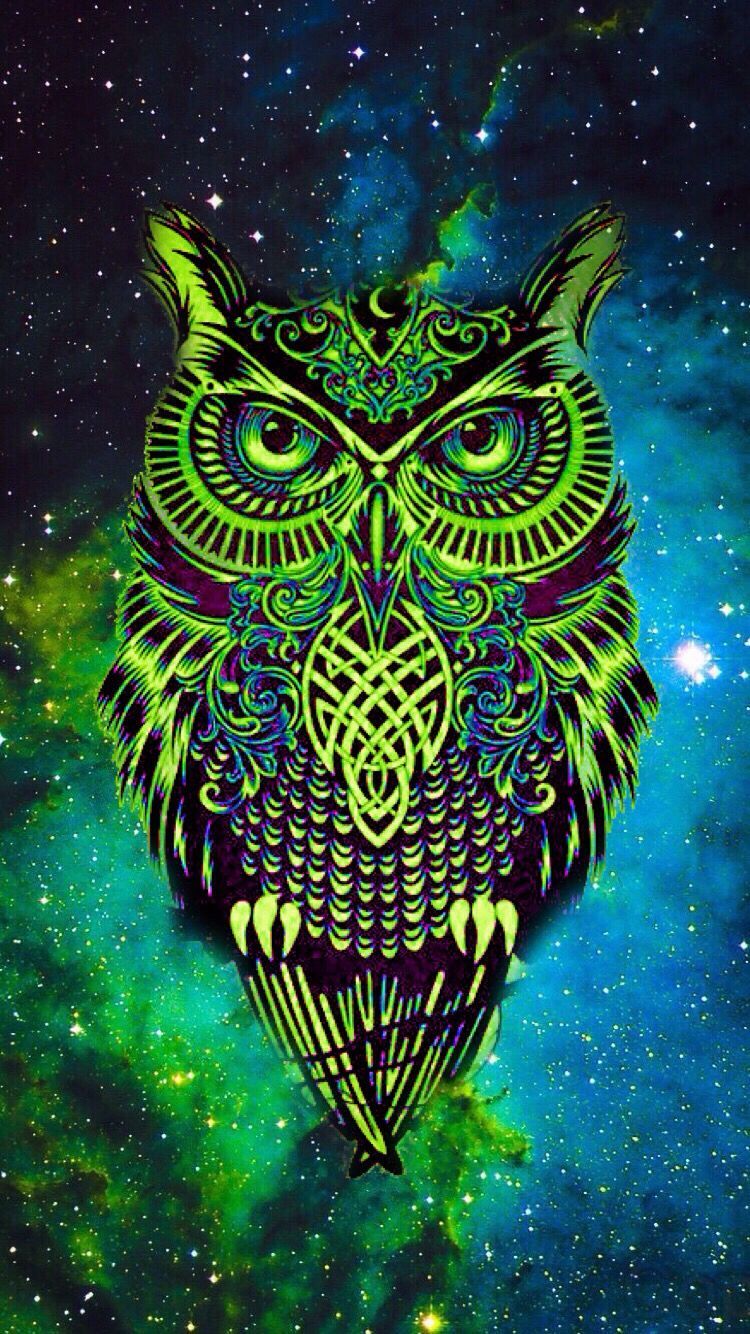 Detail Owl Background Nomer 25