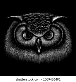 Detail Owl Background Nomer 29