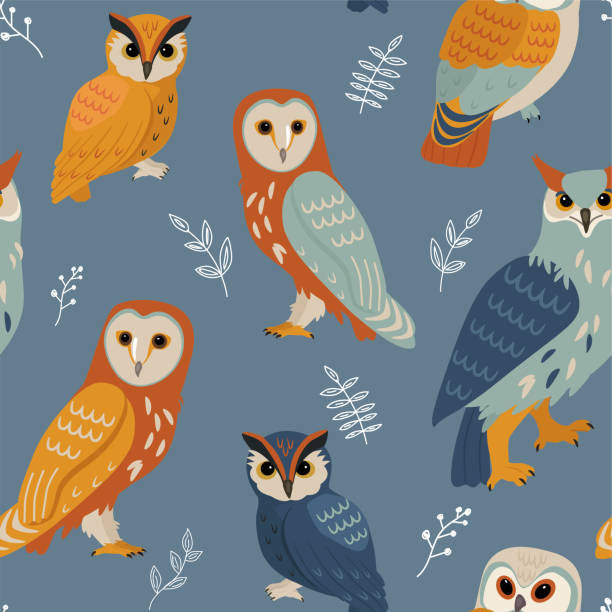 Detail Owl Background Nomer 33