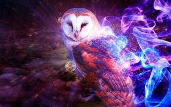 Detail Owl Background Nomer 37
