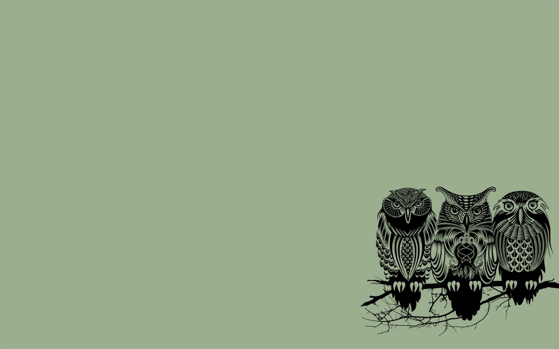 Detail Owl Background Nomer 43