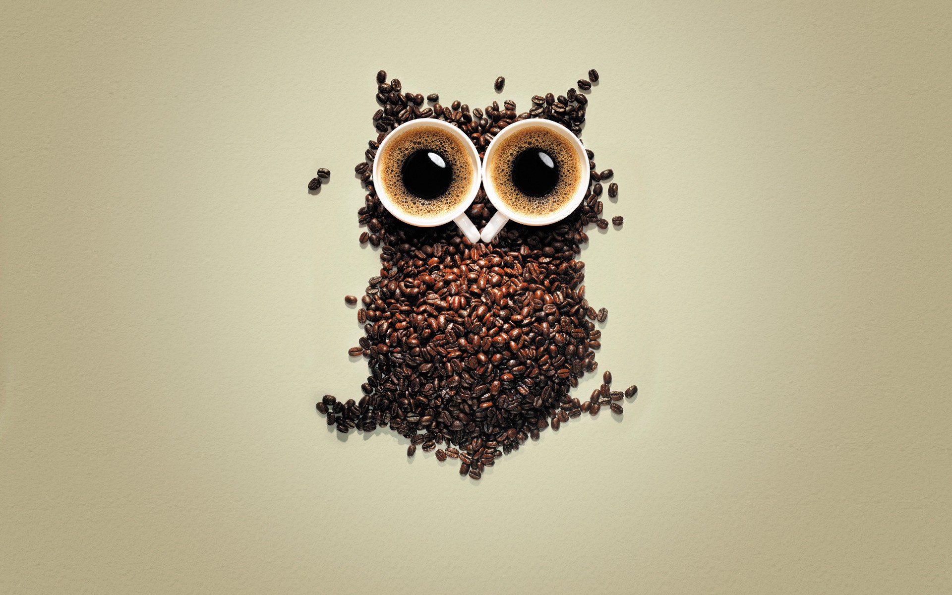 Detail Owl Background Nomer 44
