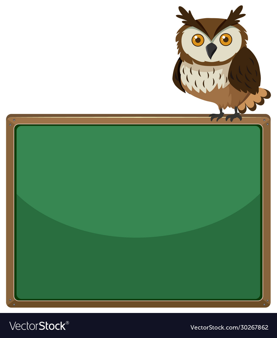 Detail Owl Background Nomer 48
