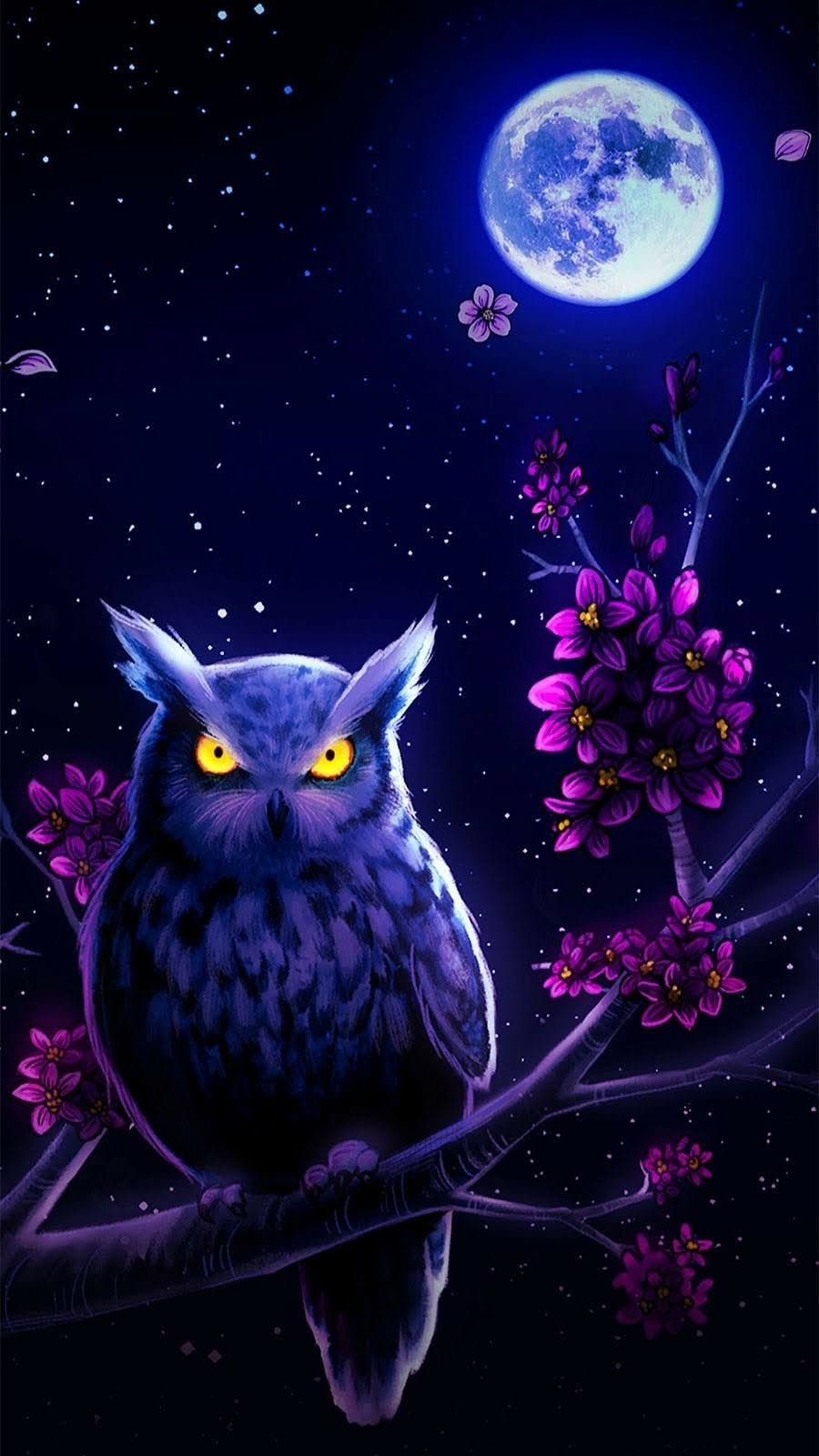 Detail Owl Background Nomer 52