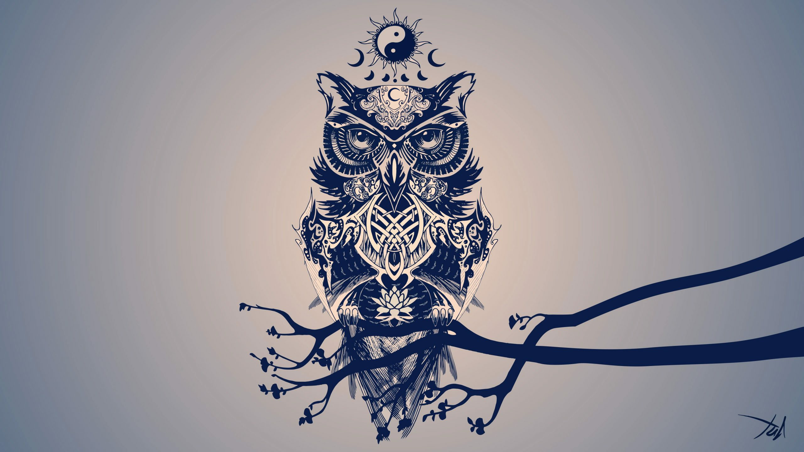 Detail Owl Background Nomer 57