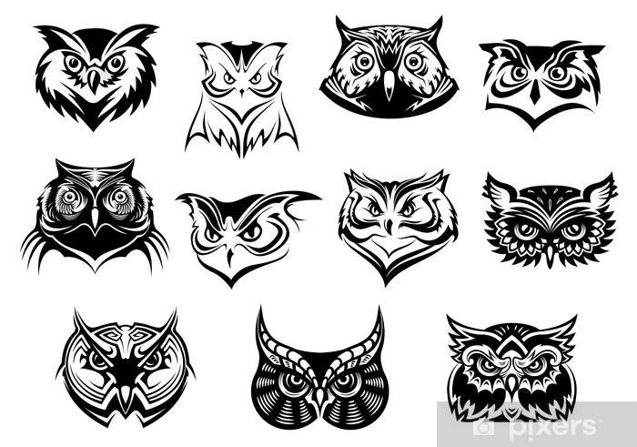 Detail Owl Black And White Nomer 14