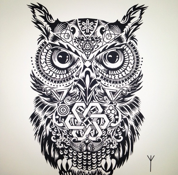 Detail Owl Black And White Nomer 19