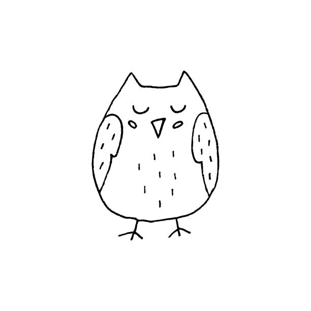 Detail Owl Black And White Nomer 44
