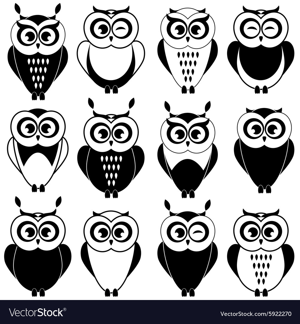 Detail Owl Black And White Nomer 46