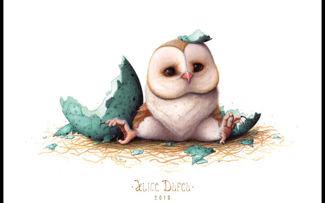 Detail Owl Cartoon Wallpaper Nomer 47