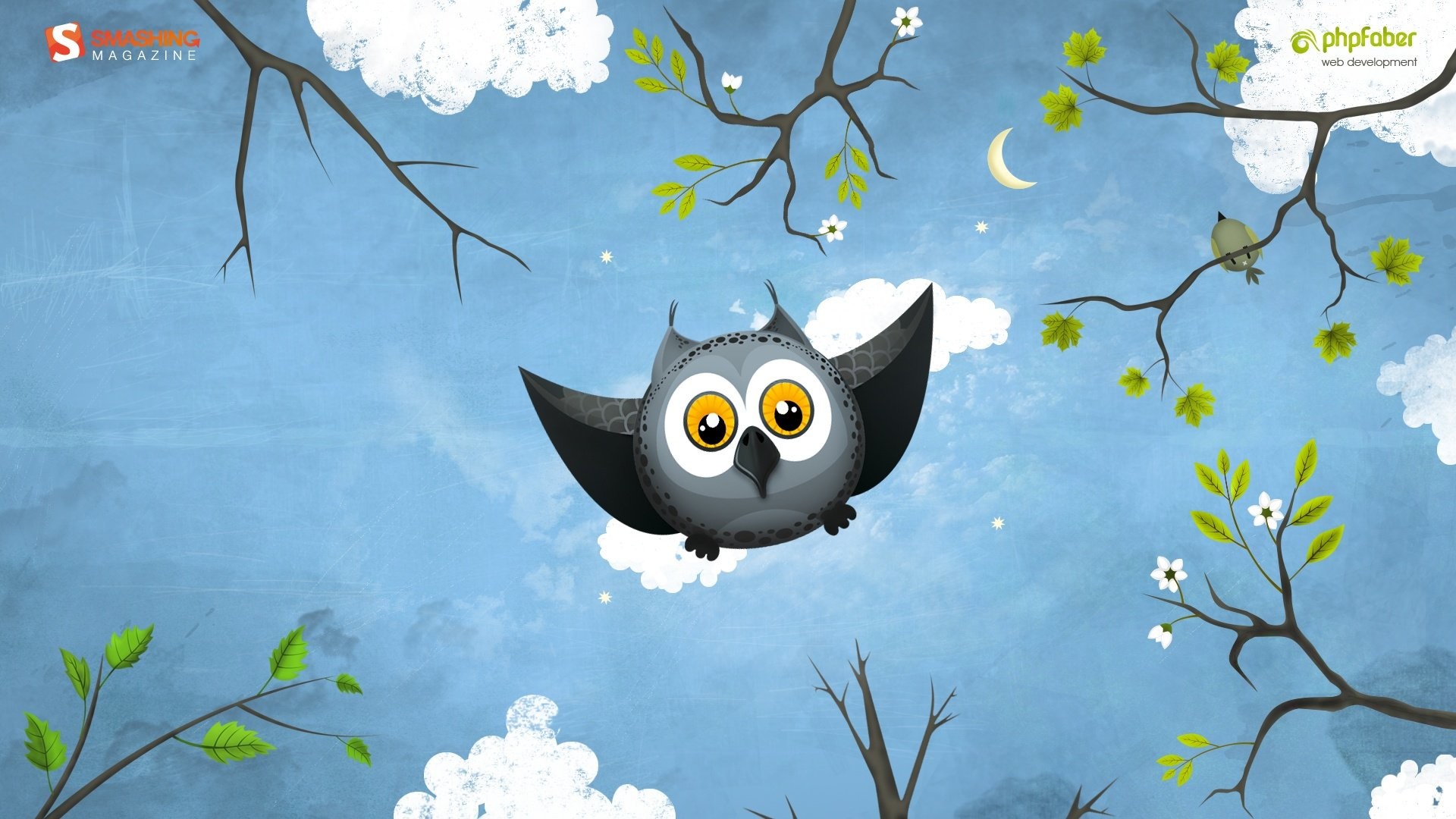 Detail Owl Cartoon Wallpaper Nomer 52