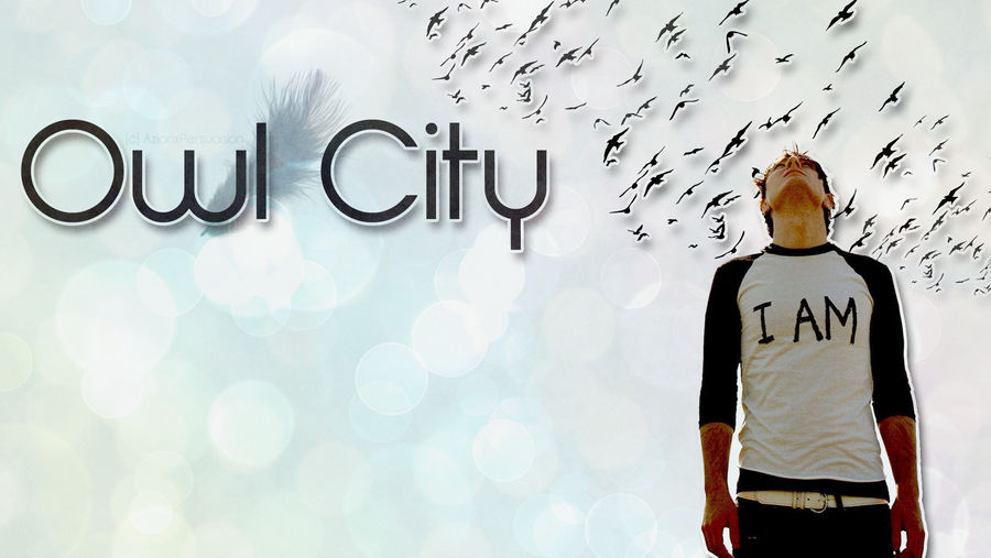 Detail Owl City Wallpaper Nomer 28