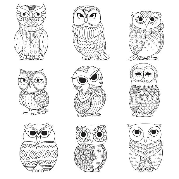 Detail Owl Clipart Black And White Nomer 26