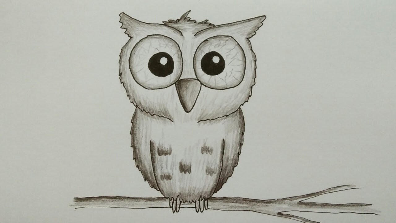 Detail Owl Gambar Burung Hantu Nomer 2