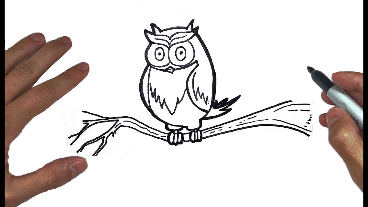 Detail Owl Gambar Burung Hantu Nomer 41
