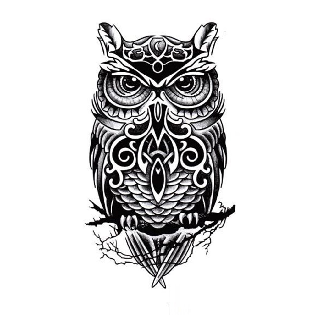 Detail Owl Hitam Putih Nomer 2