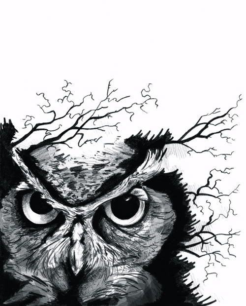 Detail Owl Hitam Putih Nomer 27