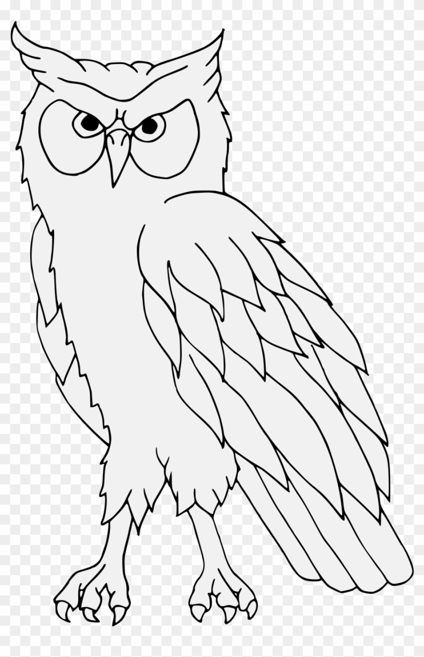 Detail Owl Hitam Putih Nomer 5