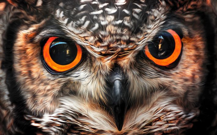 Detail Owl Images Download Nomer 34