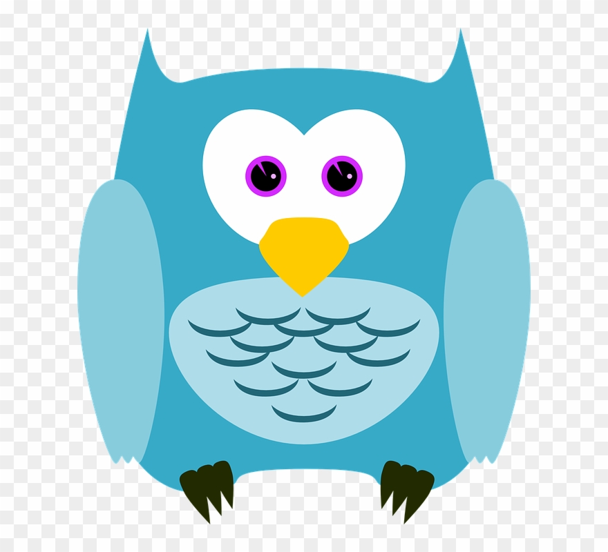 Detail Owl Lucu Nomer 15
