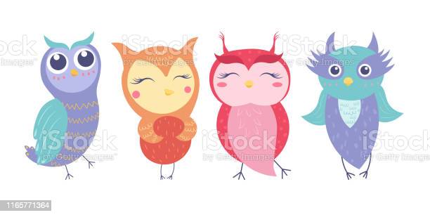 Detail Owl Lucu Nomer 28