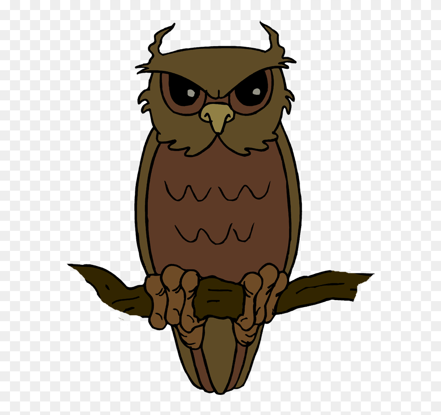 Detail Owl No Background Nomer 44