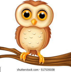 Detail Owl Pictures Cartoon Nomer 12