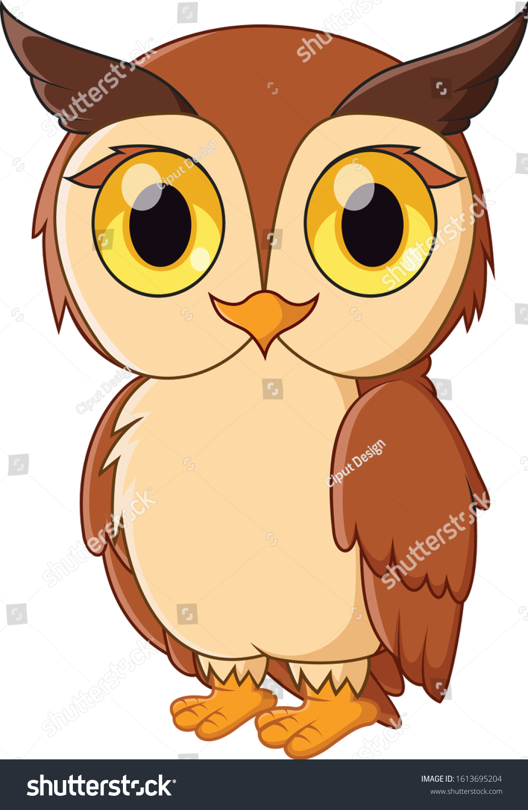 Detail Owl Pictures Cartoon Nomer 26