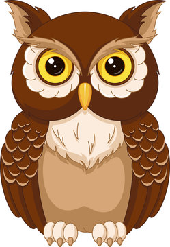 Detail Owl Pictures Cartoon Nomer 9