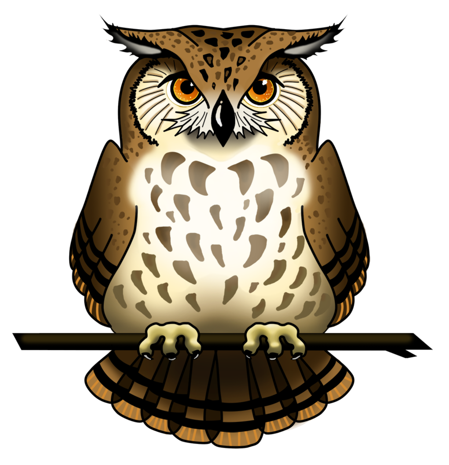 Detail Owl Png Images Nomer 13