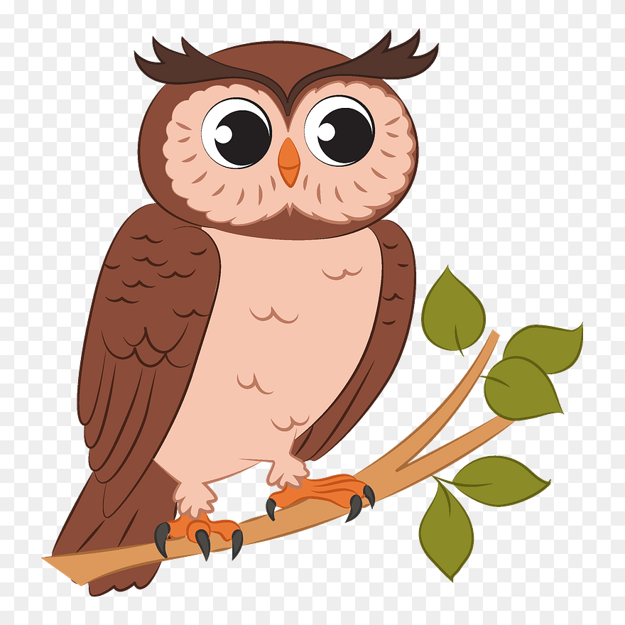 Detail Owl Png Images Nomer 24