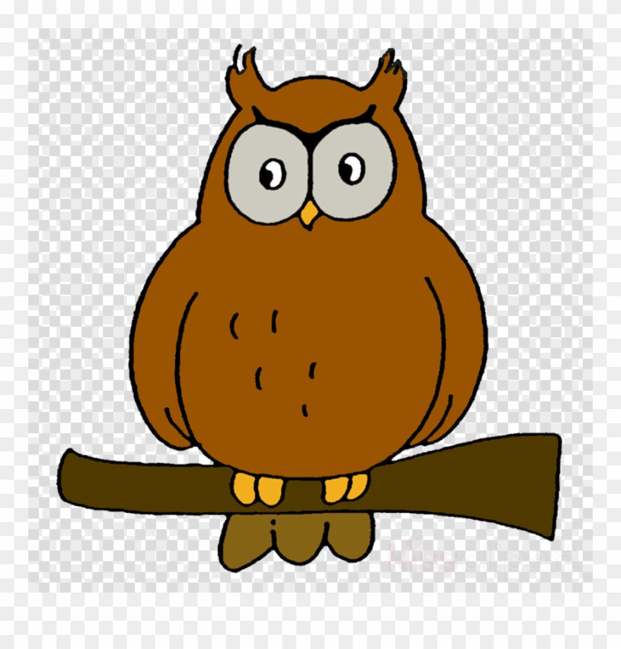 Detail Owl Transparent Nomer 50