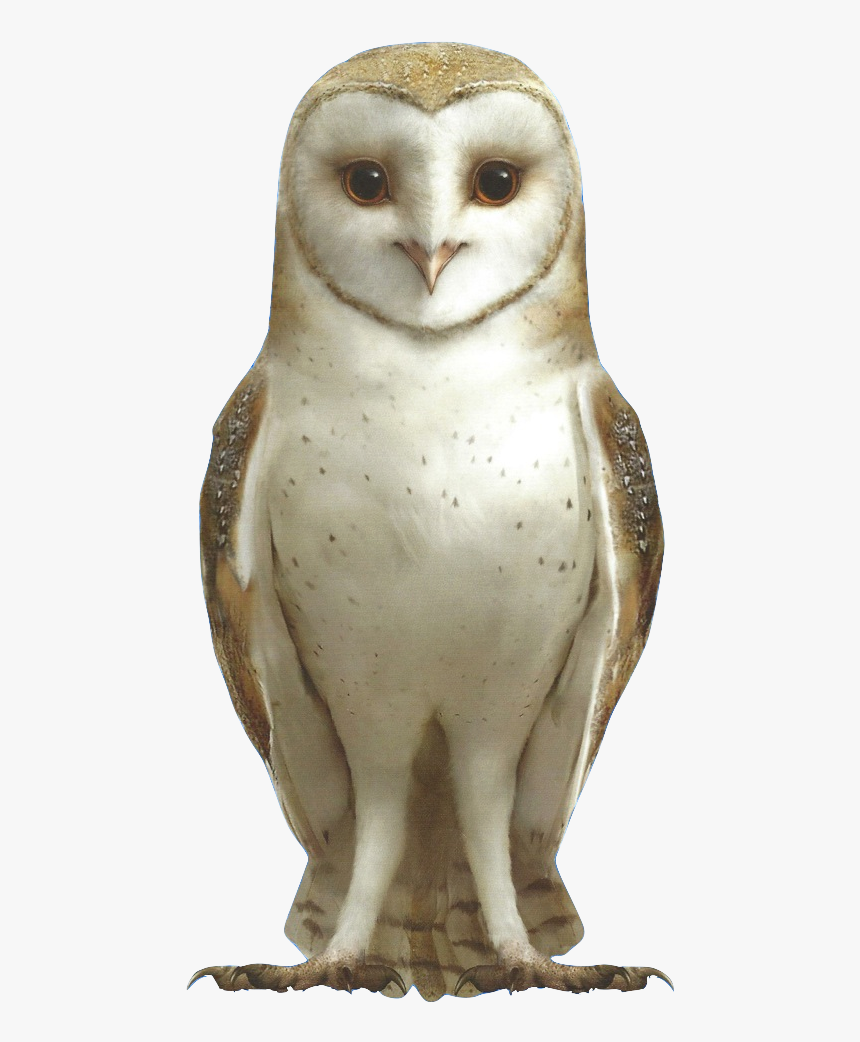 Detail Owl Transparent Background Nomer 39