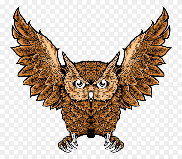 Detail Owl Transparent Background Nomer 41