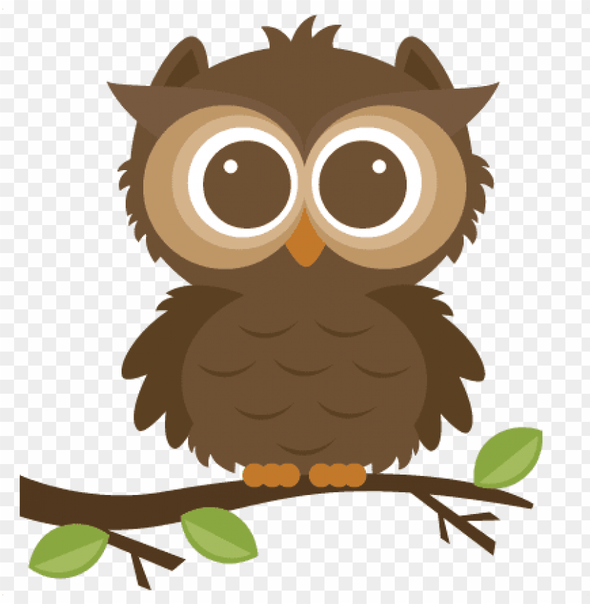 Detail Owl Transparent Background Nomer 45