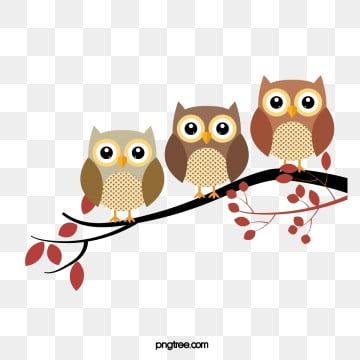 Detail Owl Transparent Background Nomer 50