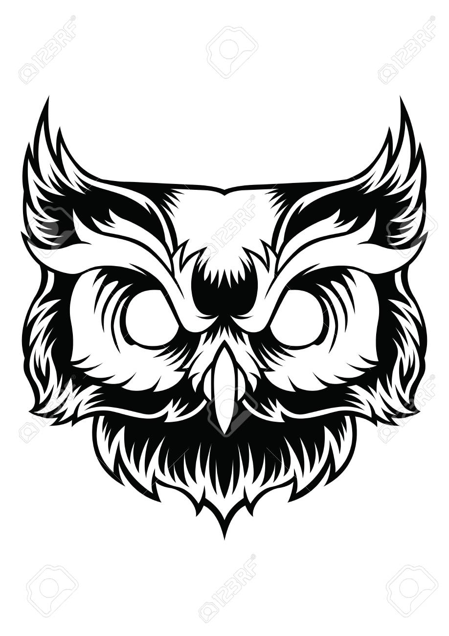 Detail Owl Vector Png Nomer 14