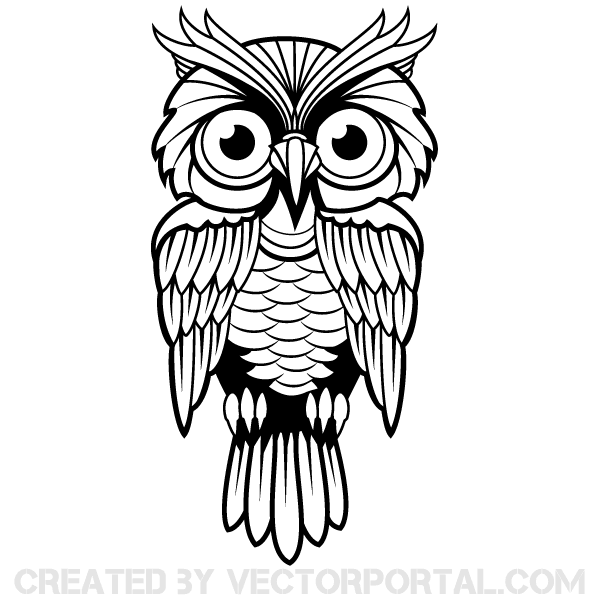 Detail Owl Vector Png Nomer 16