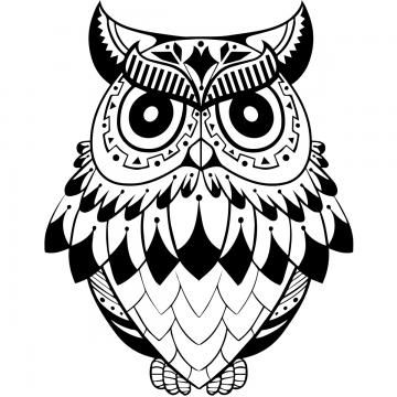 Detail Owl Vector Png Nomer 17