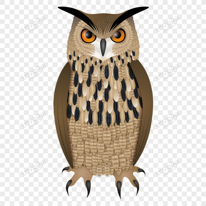 Detail Owl Vector Png Nomer 4