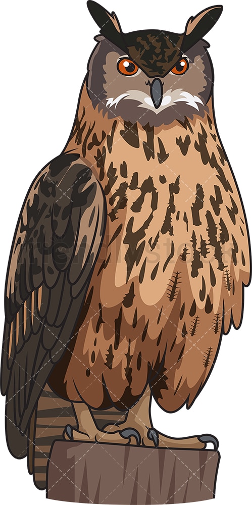 Detail Owl Vector Png Nomer 33