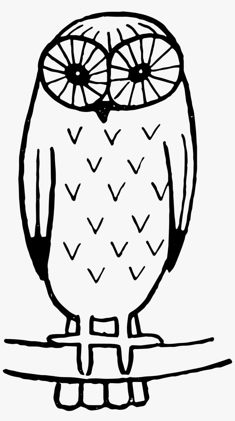 Detail Owl Vector Png Nomer 39